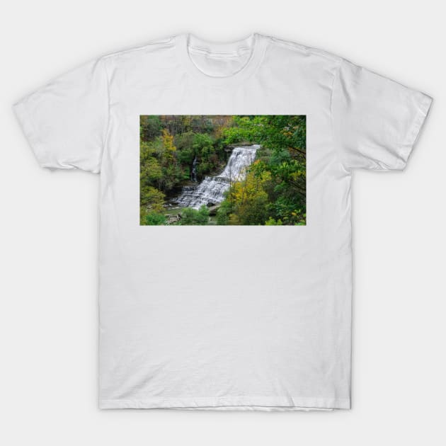 Autumn at Albion Falls T-Shirt by srosu